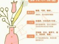 新手如何正确养护鲜花？