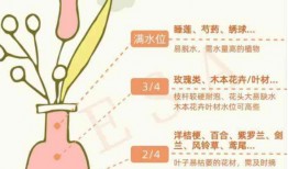 新手如何正确养护鲜花？